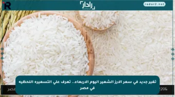 تغير جديد في سعر الأرز الشعير اليوم الأربعاء.. تعرف على التسعيرة اللحظية في مصر